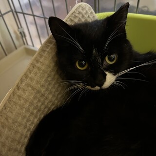 顔も、柄も、声も可愛い白黒さん❤️