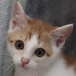 イクメンな一面もある優しいいっさ君！