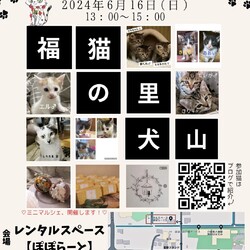 猫の譲渡会 @犬山市　レンタルスペースぽぽらーと