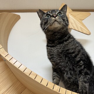 人が大好き　おっきな男の子