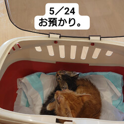 「2024.06.01」サムネイル1