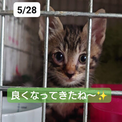 「2024.06.01」サムネイル2