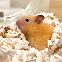 れお