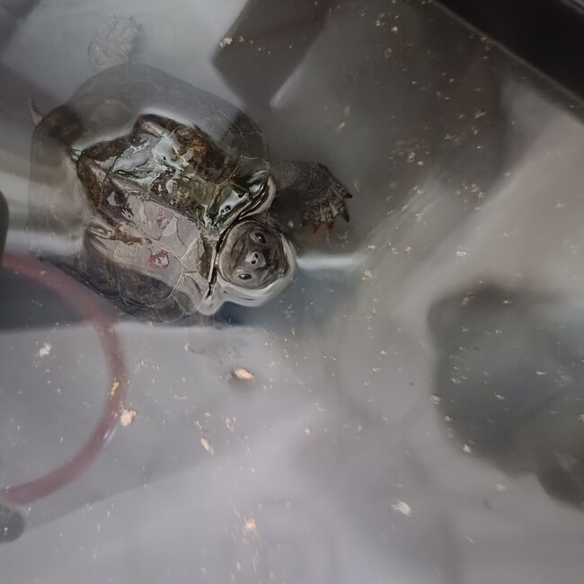 soma914のカバー写真