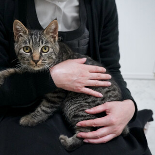 トライアル待ち！