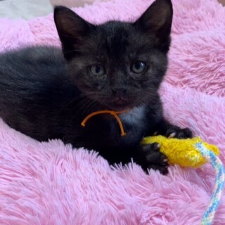 とてもおおらかなレンくん♡