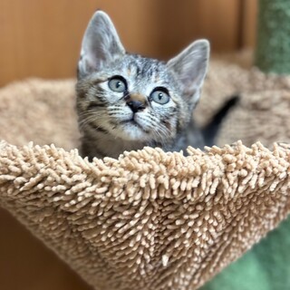 キュンです♡穏やかな　みぞちゃん