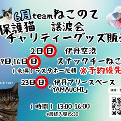 伊丹ふれあえる譲渡会