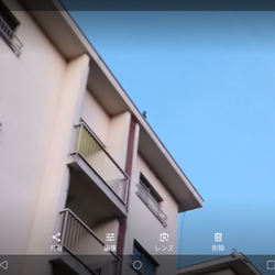 「団地屋上に猫が」サムネイル2