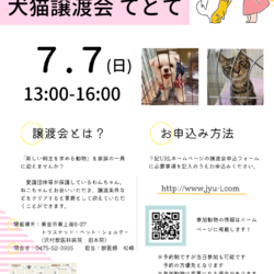 犬猫譲渡会「てとて」