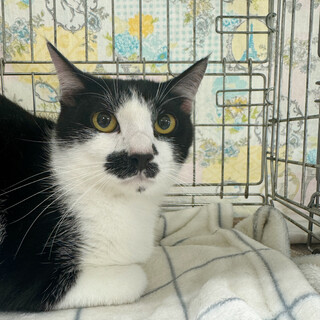 9/1西千葉ෆ⃛ビビリっ子ෆ⃛まりおくん