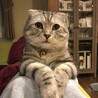 いなさく