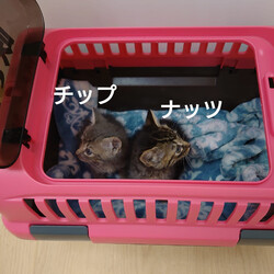 「2024.06.03」サムネイル2