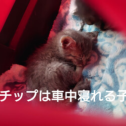 「2024.06.03」サムネイル3