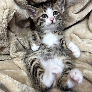 ピンクのお鼻　遊びの達人♡エマちゃん