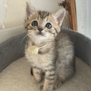 甘えた★ひかりちゃん★気は強めw