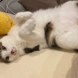 茨城県✴︎とても元気な男の子✴︎太郎くん