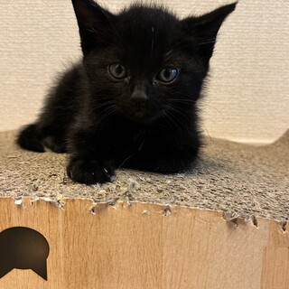 活発で元気な女の子。FUJIに逢いに来て下さい。