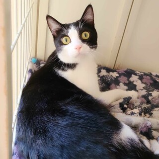 キョトンとしたおめめが可愛いね！