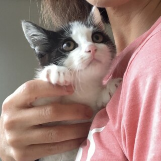 健康状態良好⭐︎可愛い男の子
