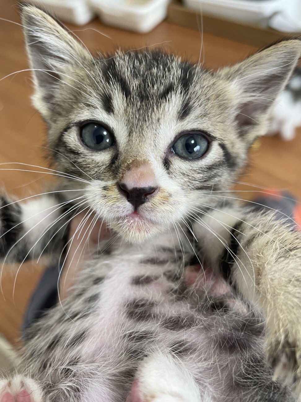 仮名:さくちゃん サムネイル2