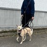 少しビビりですがワンプロ好きな女の子（ゆいちゃん） サムネイル4