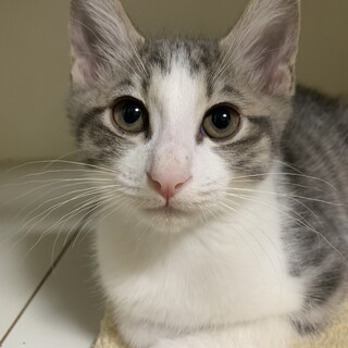 決定☆『しお』とっても元気な男の子