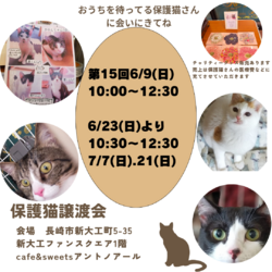 保護猫譲渡会inアントノアール
