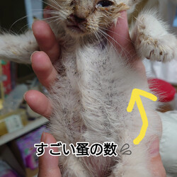 「2024.06.04」サムネイル1