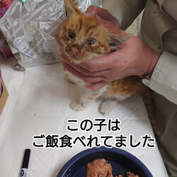 「2024.06.04」サムネイル2