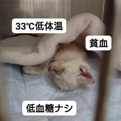 「2024.06.04」サムネイル3