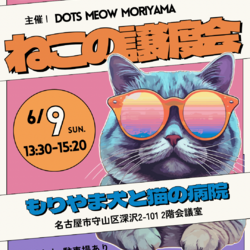 6/9(日)保護猫譲渡会@名古屋市守山区