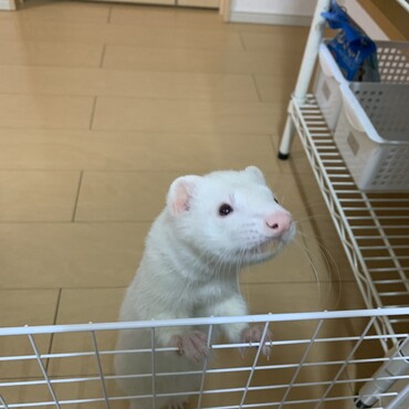 の写真
