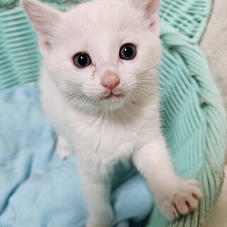 ミルク♂