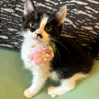 くりくり目目♡おっとりノンちゃん