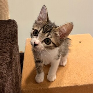 6/9幕張ෆ⃛おっとり女子ෆ⃛セレナちゃん