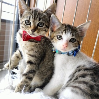 海の近くで産まれたかわいい兄妹