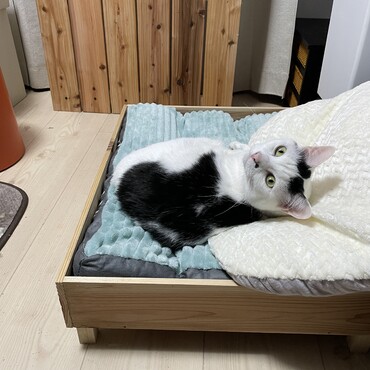 今日もせっせとスノコばっかり作りました（笑）このベッドも底はスノコw