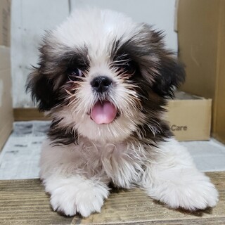 一旦、新規の方の申し込みを中止させて下さい。