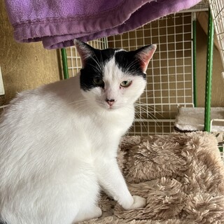 可愛い丸顔　ムツミちゃん