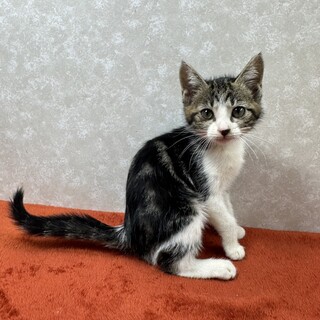 遊びだしたら止まらない！誰か止めてよ❤四葉