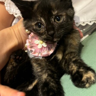 ぱっちりお目目になったよ♡アースちゃん