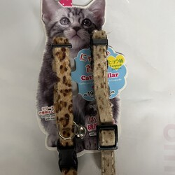 「使用前、使用後9年！」サムネイル1