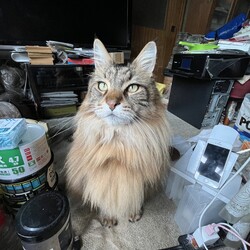 「使用前、使用後9年！」サムネイル2