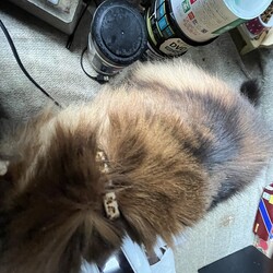 「使用前、使用後9年！」サムネイル3