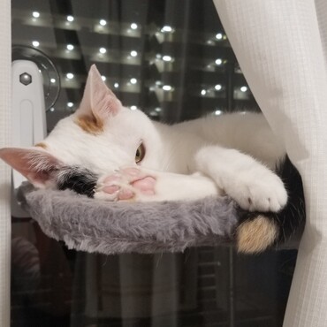 パンの写真