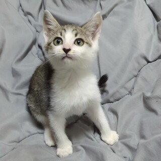 ✨お見合い決定✨