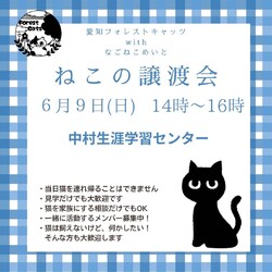 保護猫　譲渡会
