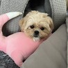 の写真