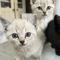 皆様ありがとうございました！
